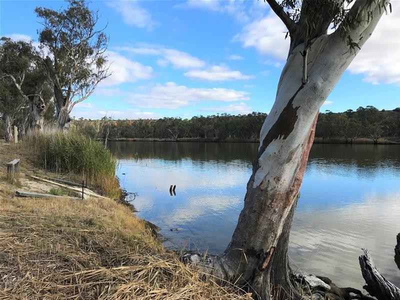 81 Marks Landing, Swan Reach SA 5354