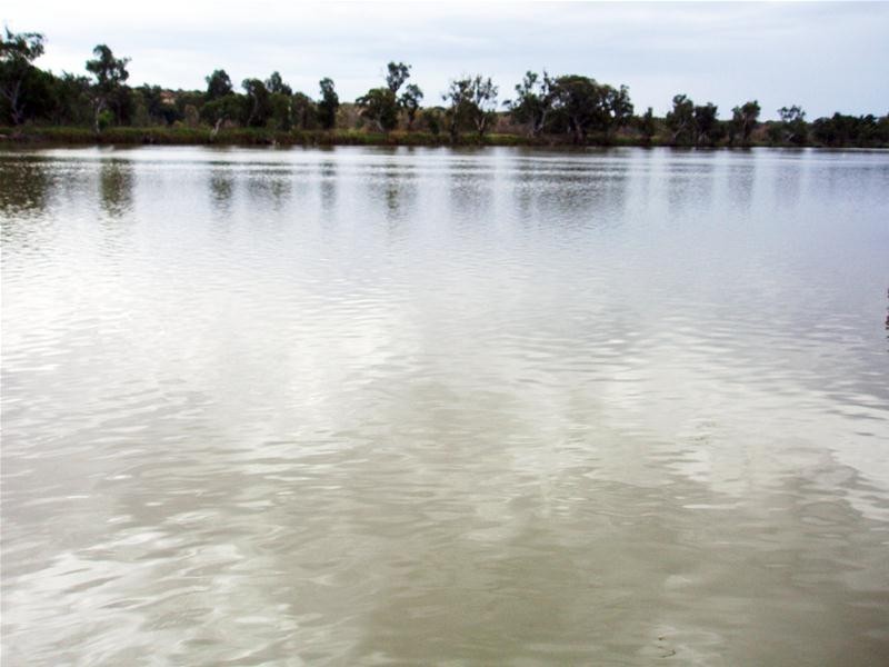 Shack 6 Riverside Drive, Big Bend SA 5238