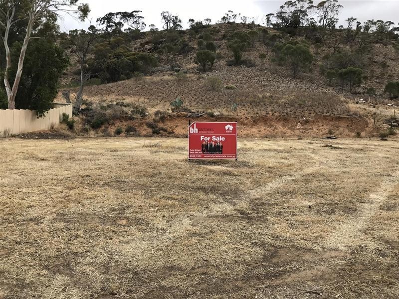 64 Tom Groggin Drive, Younghusband SA 5238