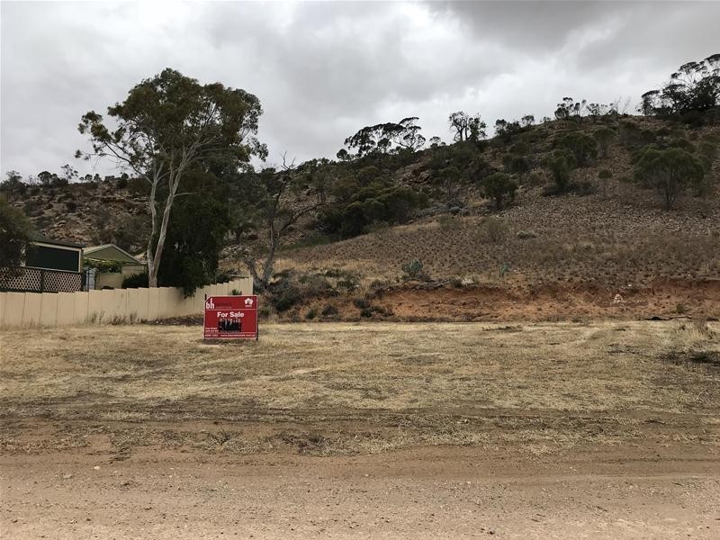 64 Tom Groggin Drive, Younghusband SA 5238