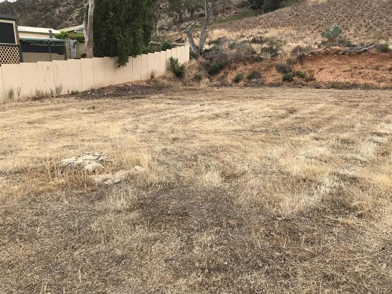 64 Tom Groggin Drive, Younghusband SA 5238