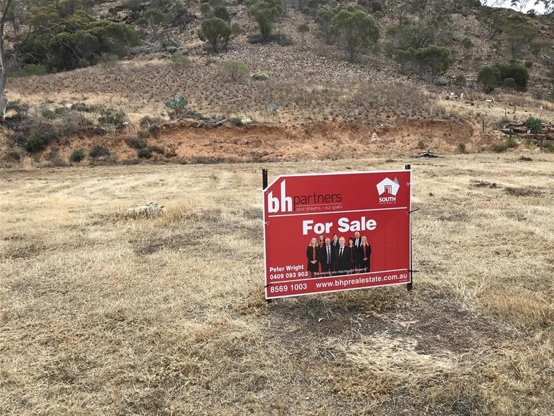 64 Tom Groggin Drive, Younghusband SA 5238