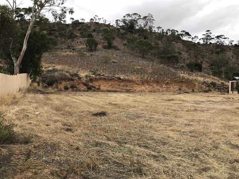 64 Tom Groggin Drive, Younghusband SA 5238