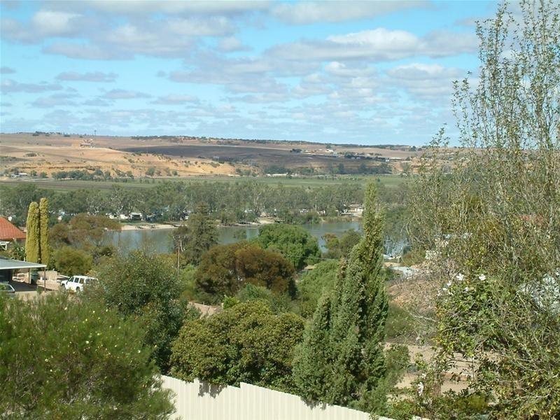 9 Busch Street, Mannum SA 5238