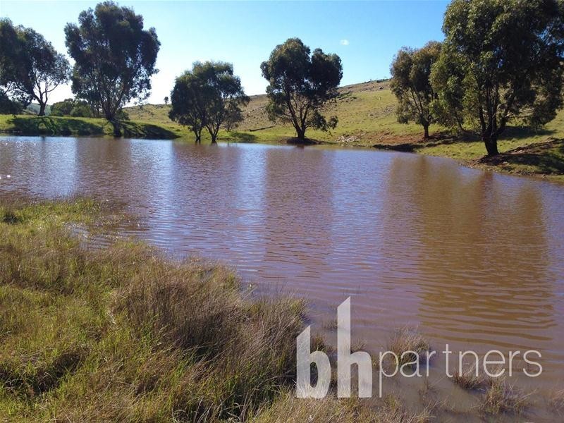 Lot 71, 306 Strachans Road, Springton SA 5235