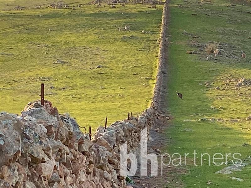 Lot 71, 306 Strachans Road, Springton SA 5235