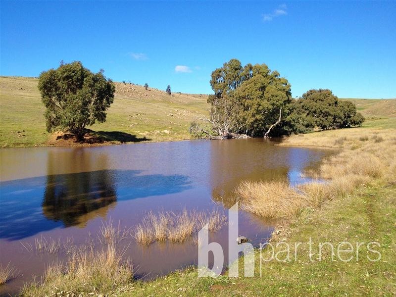 Lot 71, 306 Strachans Road, Springton SA 5235