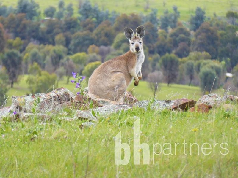 Lot 71, 306 Strachans Road, Springton SA 5235