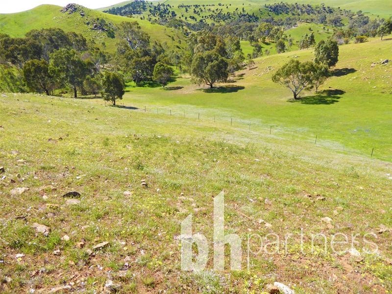 Lot 71, 306 Strachans Road, Springton SA 5235