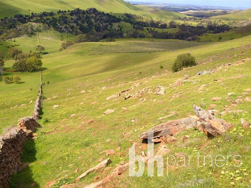 Lot 71, 306 Strachans Road, Springton SA 5235