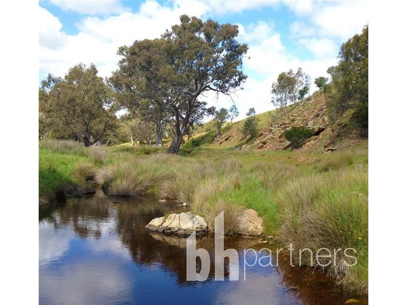 Lot 71, 306 Strachans Road, Springton SA 5235