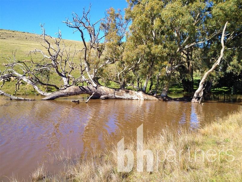 Lot 71, 306 Strachans Road, Springton SA 5235