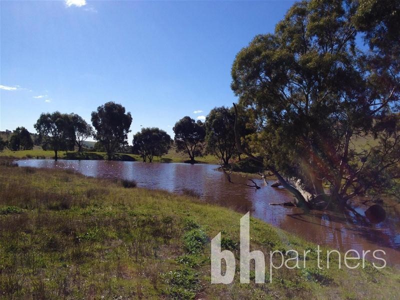 Lot 71, 306 Strachans Road, Springton SA 5235