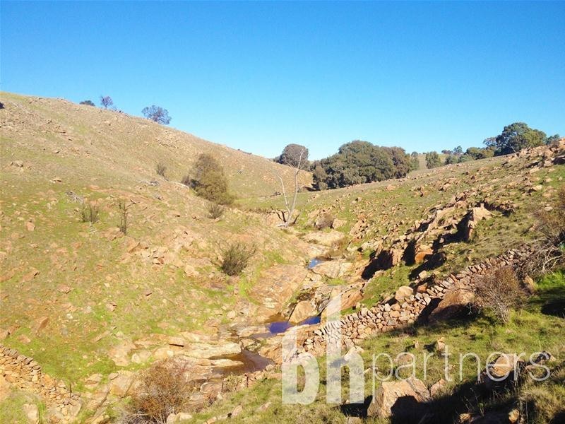 Lot 71, 306 Strachans Road, Springton SA 5235