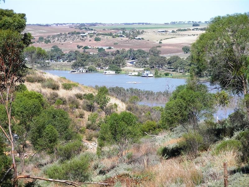 52 Crawford Crescent, Mannum SA 5238