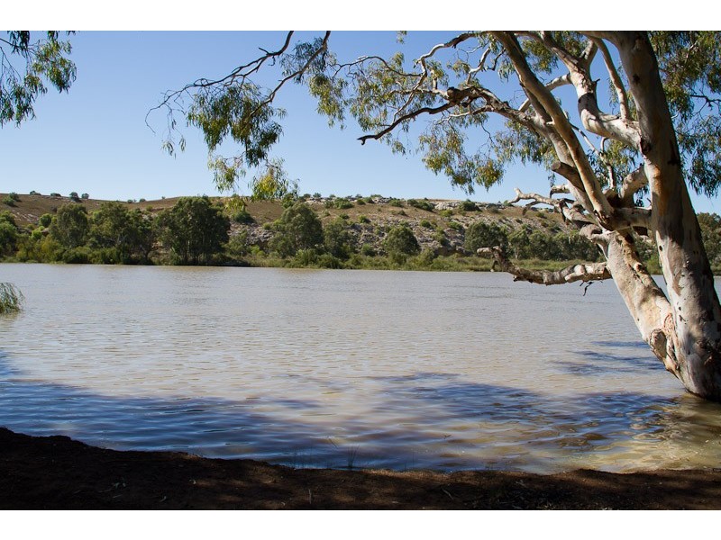 469 Fromm Road, Caurnamont SA 5238