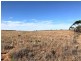 Lot 4  Hundred Line  Road, Copeville SA 5308