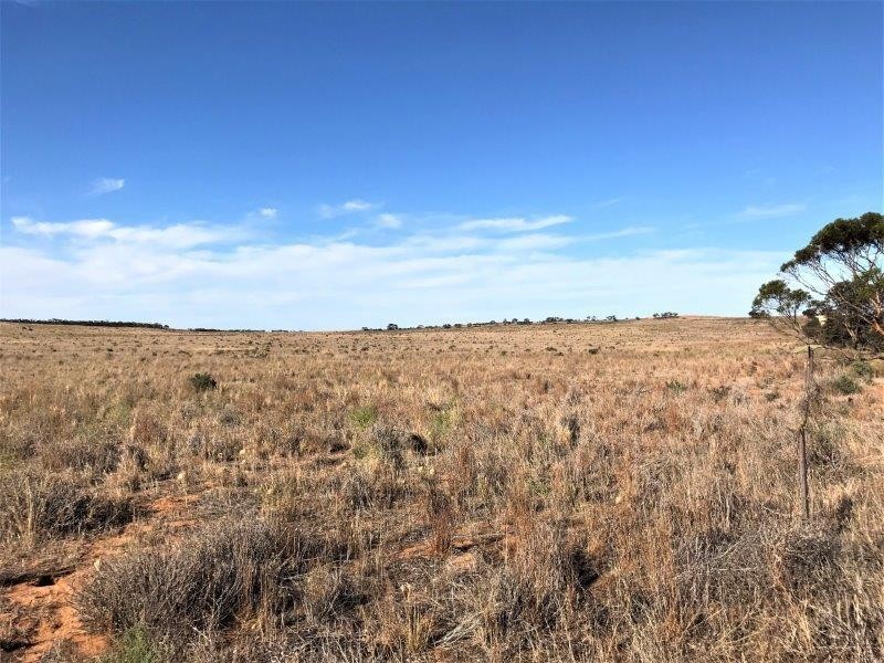 Lot 4  Hundred Line  Road, Copeville SA 5308
