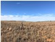 Lot 4  Hundred Line  Road, Copeville SA 5308