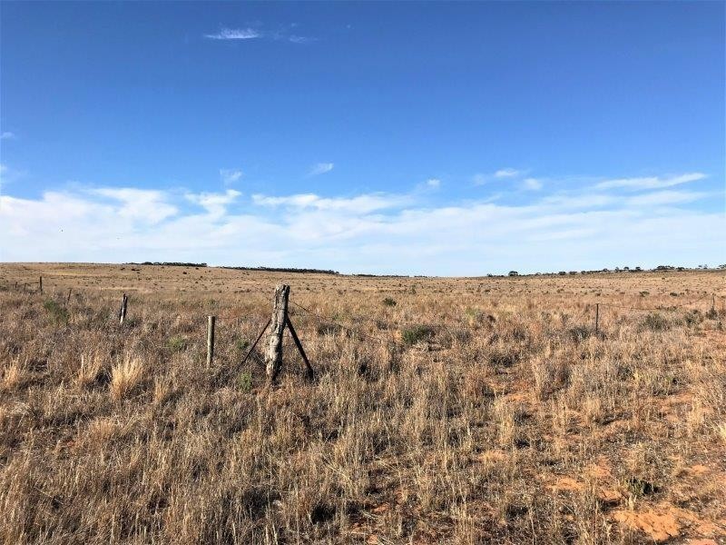 Lot 4  Hundred Line  Road, Copeville SA 5308