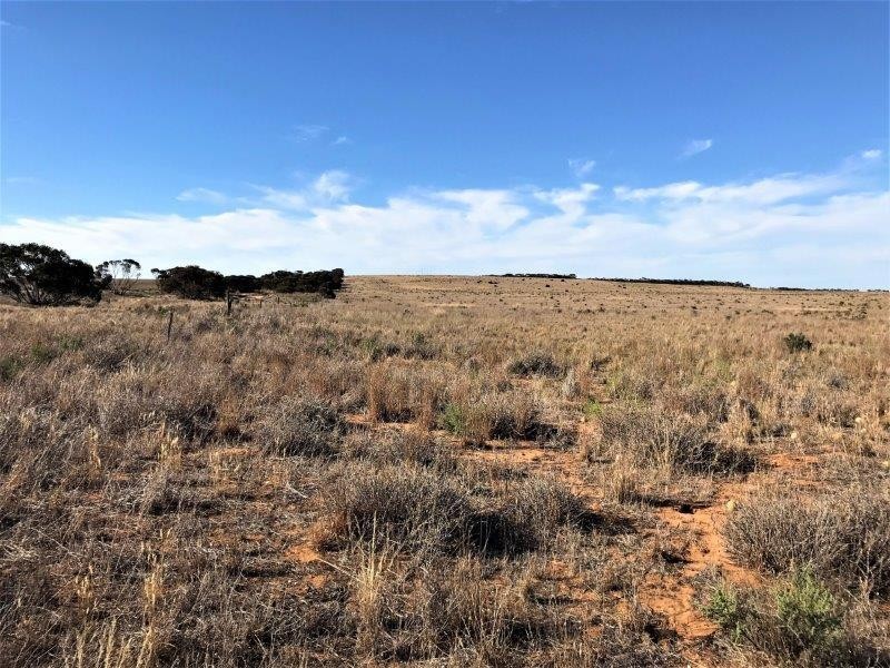 Lot 4  Hundred Line  Road, Copeville SA 5308