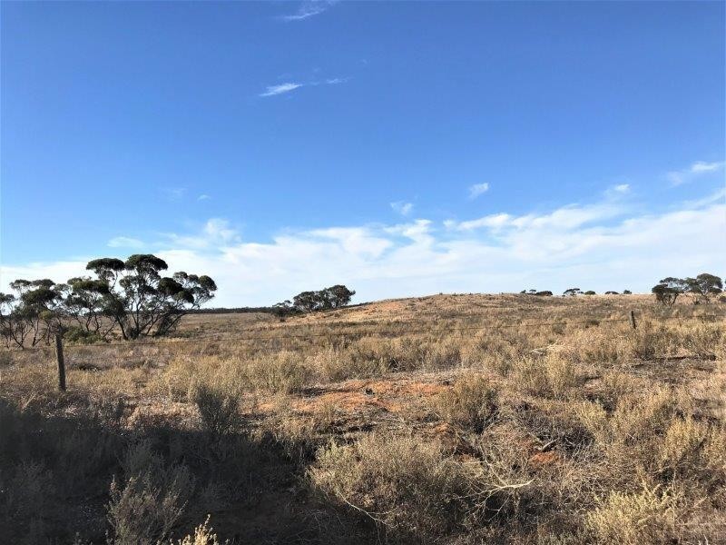 Lot 4  Hundred Line  Road, Copeville SA 5308