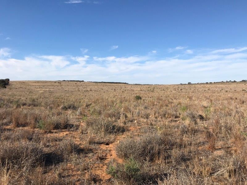 Lot 4  Hundred Line  Road, Copeville SA 5308