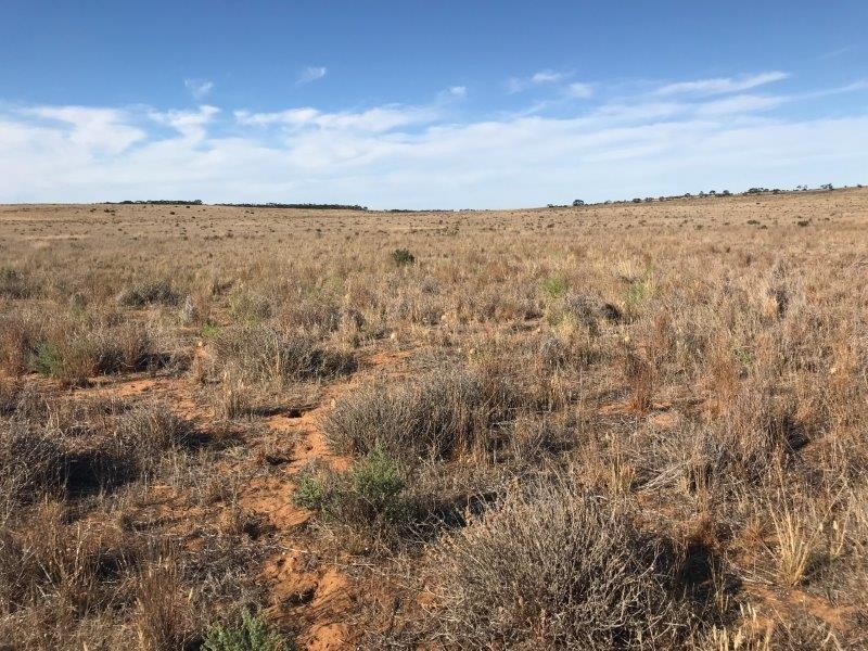 Lot 4  Hundred Line  Road, Copeville SA 5308