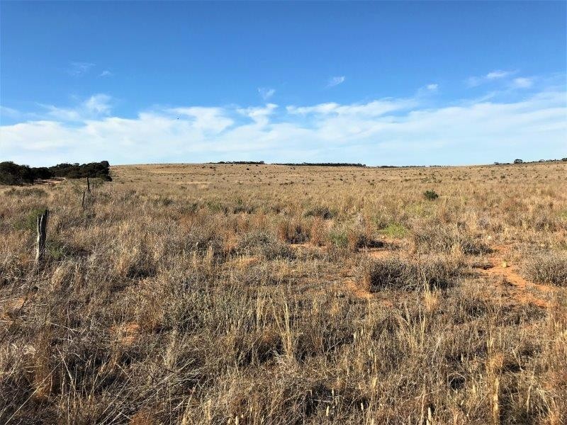 Lot 4  Hundred Line  Road, Copeville SA 5308