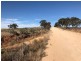 Lot 4  Hundred Line  Road, Copeville SA 5308