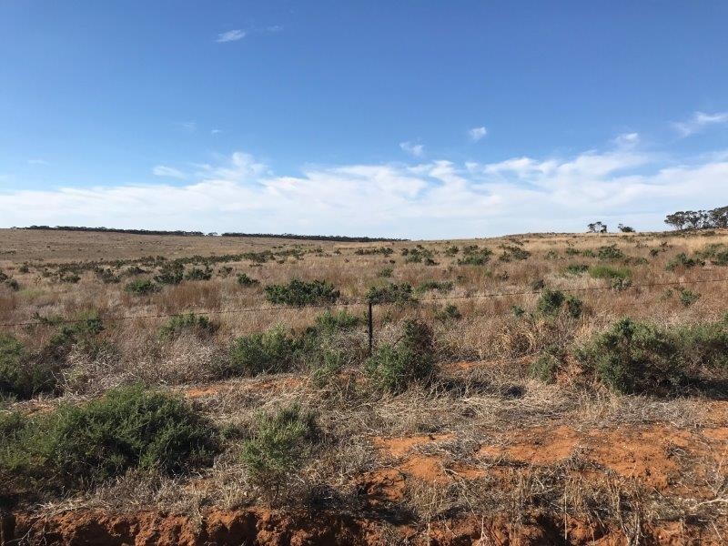 Lot 4  Hundred Line  Road, Copeville SA 5308