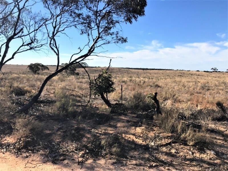 Lot 4  Hundred Line  Road, Copeville SA 5308