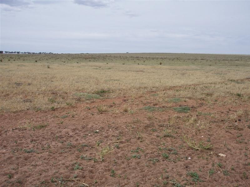 2841 Randell Road, Mannum SA 5238