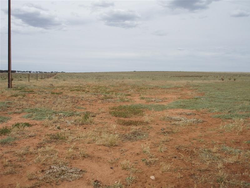 2841 Randell Road, Mannum SA 5238