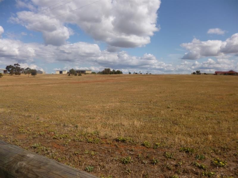 26 Ramm Road, Mannum SA 5238