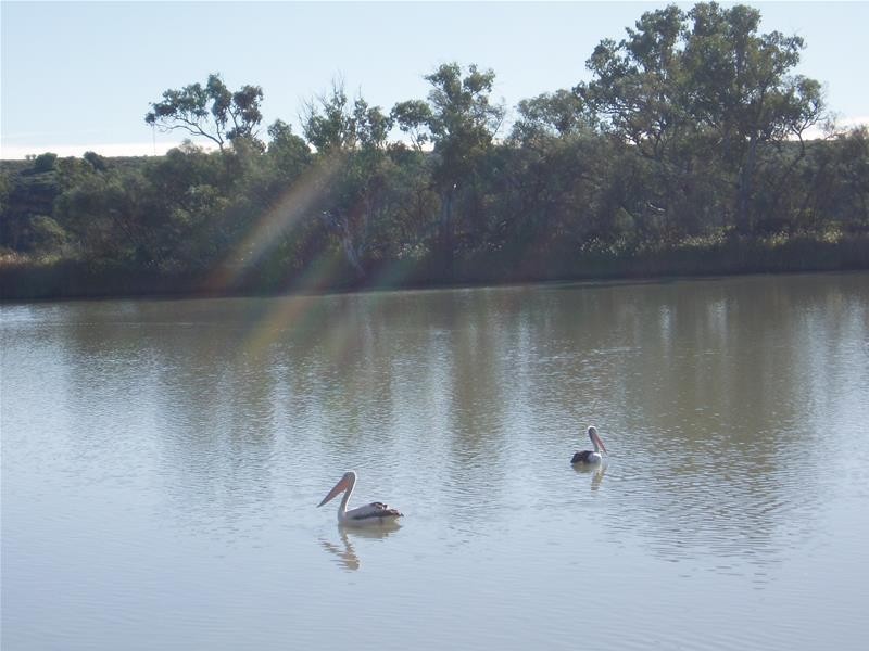 13 River Reserve Road, Swan Reach SA 5354