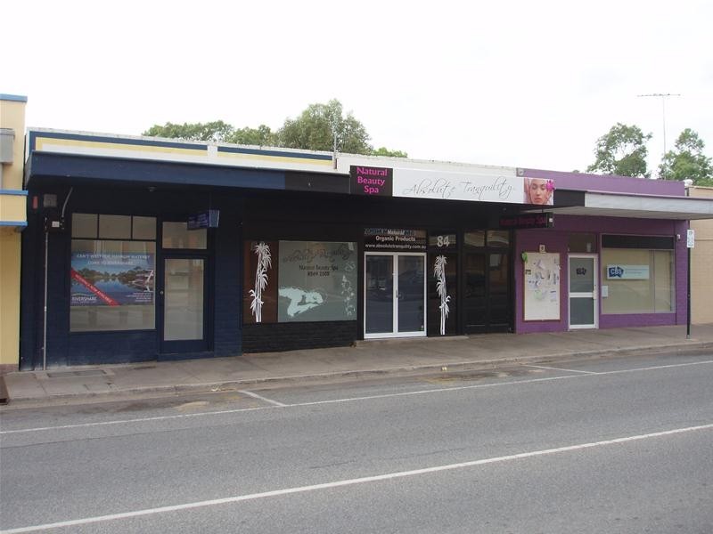 84 Randell Street, Mannum SA 5238