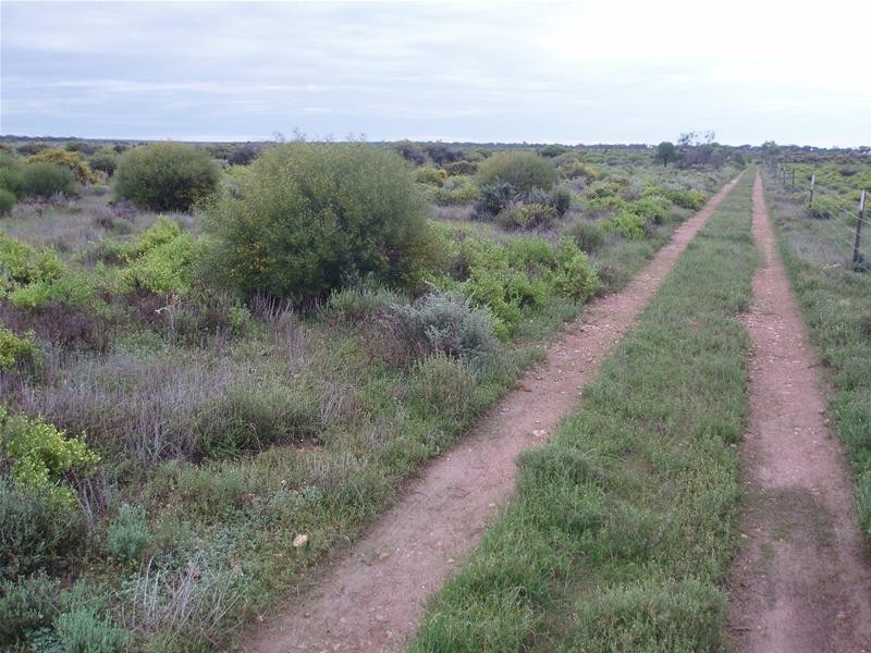 206 Bedrock Road, Swan Reach SA 5354