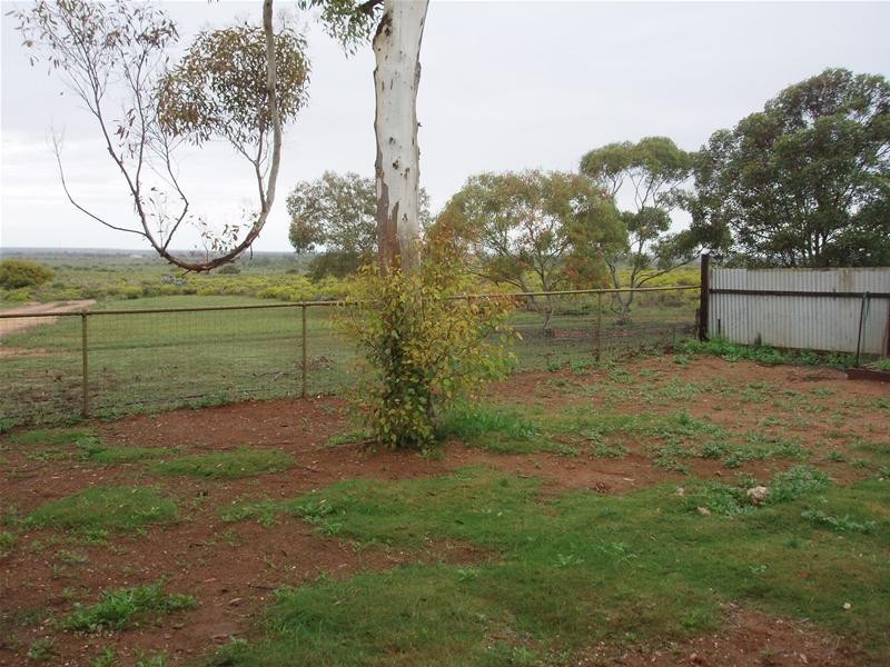 206 Bedrock Road, Swan Reach SA 5354