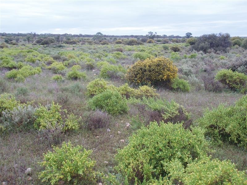 206 Bedrock Road, Swan Reach SA 5354