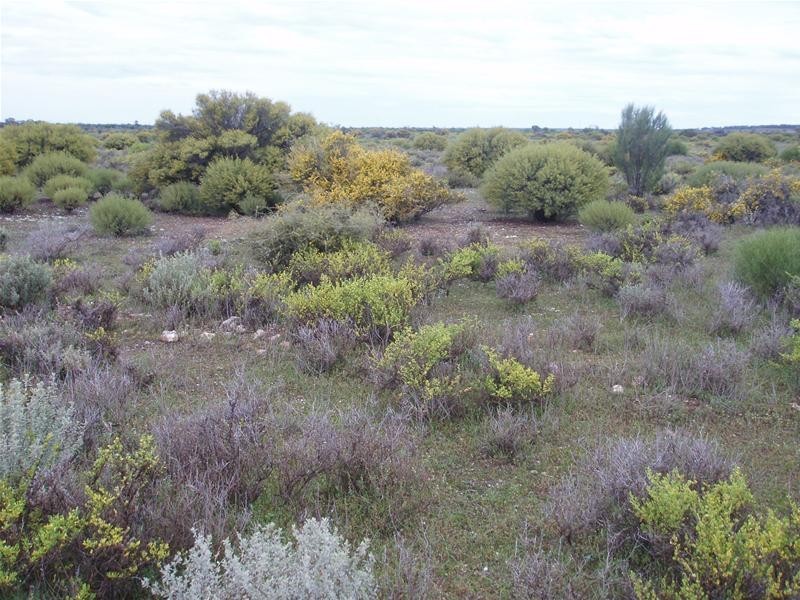 206 Bedrock Road, Swan Reach SA 5354