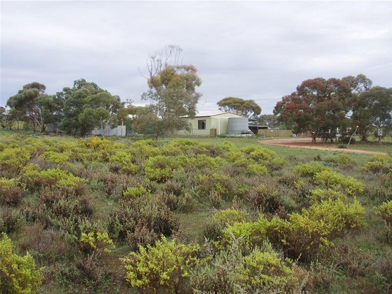 206 Bedrock Road, Swan Reach SA 5354