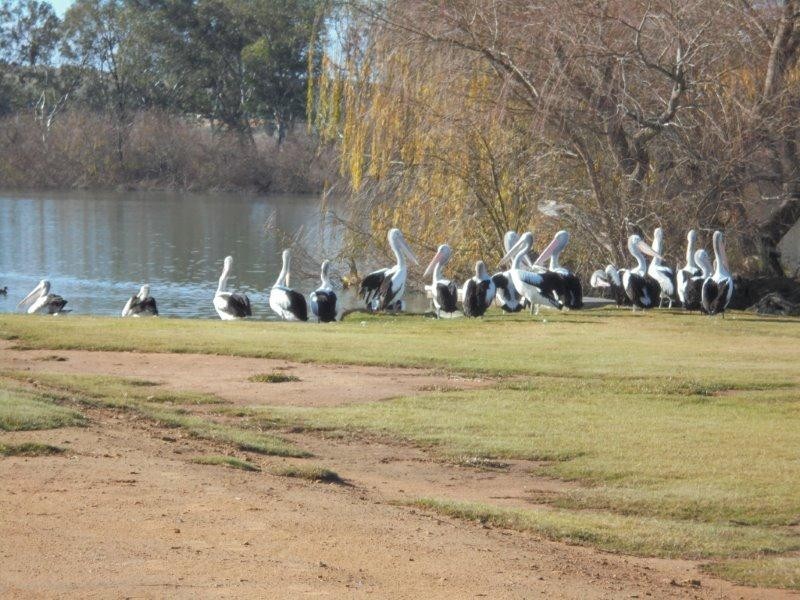 17 Jaensch Beach, Mypolonga SA 5254