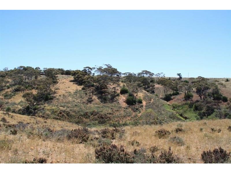 43C Dollard Avenue, Mannum SA 5238