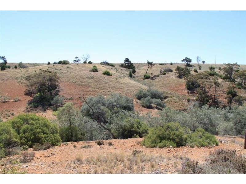 43C Dollard Avenue, Mannum SA 5238