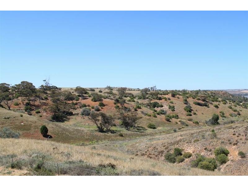 43C Dollard Avenue, Mannum SA 5238