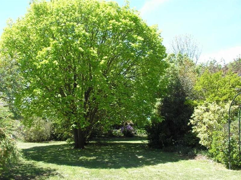 6 Melrose Street, Mount Pleasant SA 5235