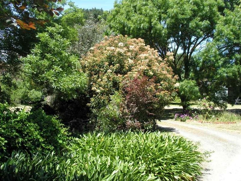 6 Melrose Street, Mount Pleasant SA 5235