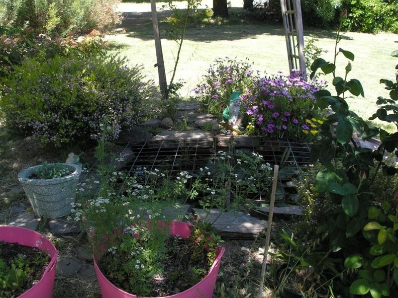 6 Melrose Street, Mount Pleasant SA 5235