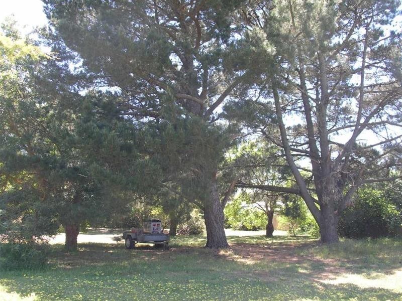 6 Melrose Street, Mount Pleasant SA 5235